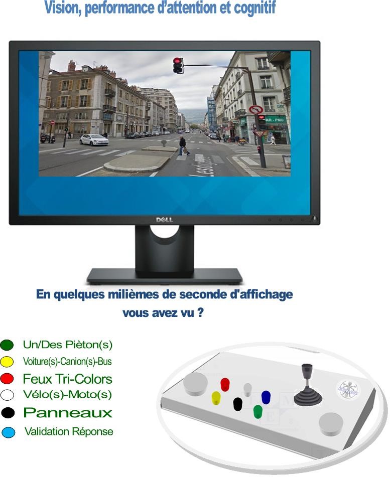 test cognitif et attention routière